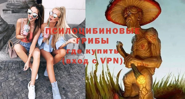 дмт Надым