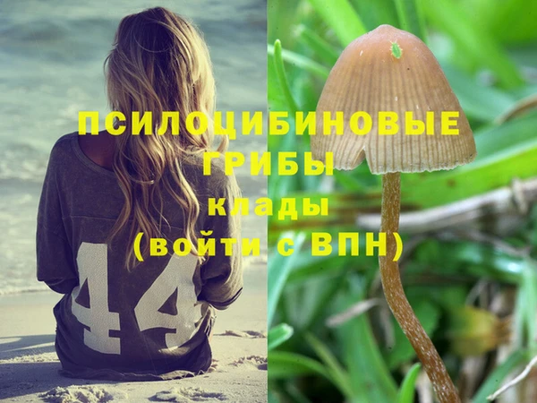 дмт Надым