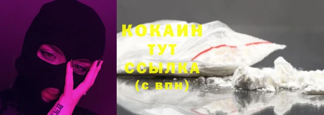 дмт Надым