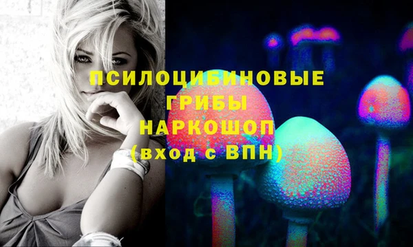 spice Михайлов