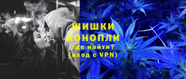 дмт Надым