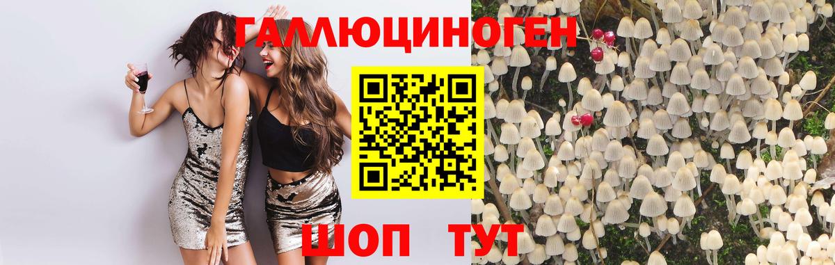 Галлюциногенные грибы мицелий Северск