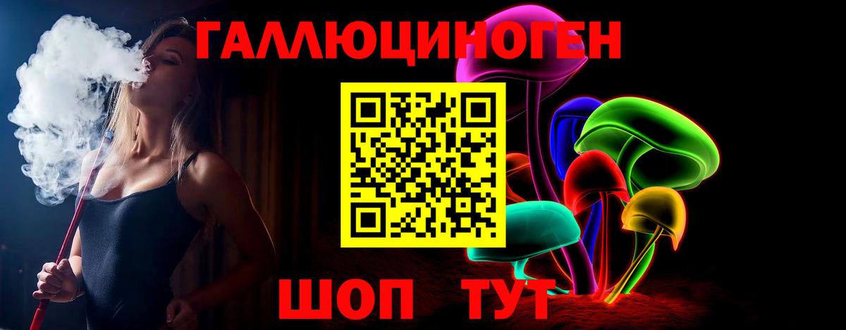 Северск  Псилоцибиновые грибы ЛСД  Галлюциногенные грибы ЛСД  как найти наркотики  Вход с VPN 
